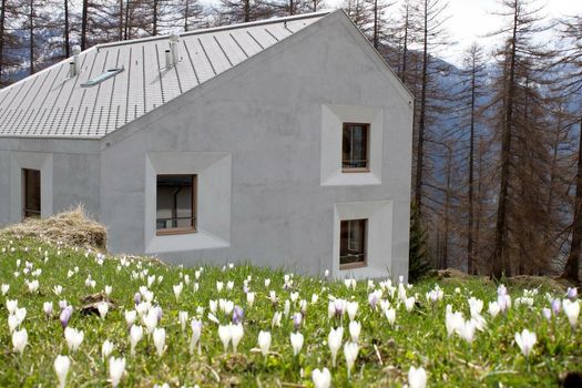 Pension Laresch