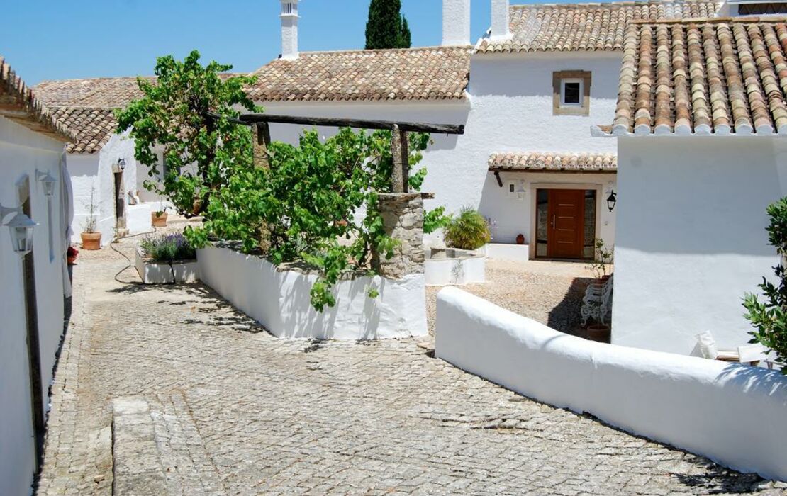 Farmhouse Of The Palms