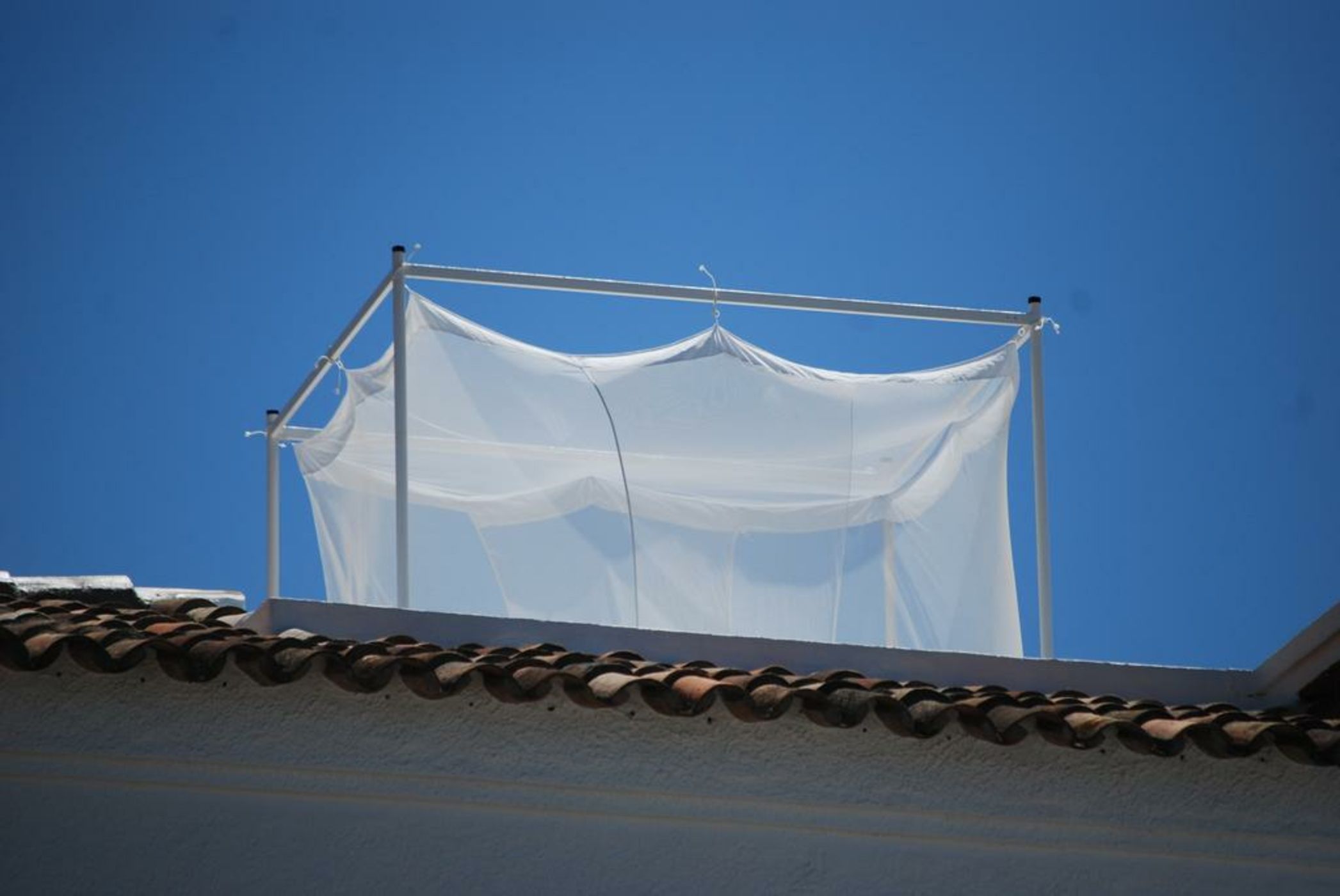 Farmhouse Of The Palms