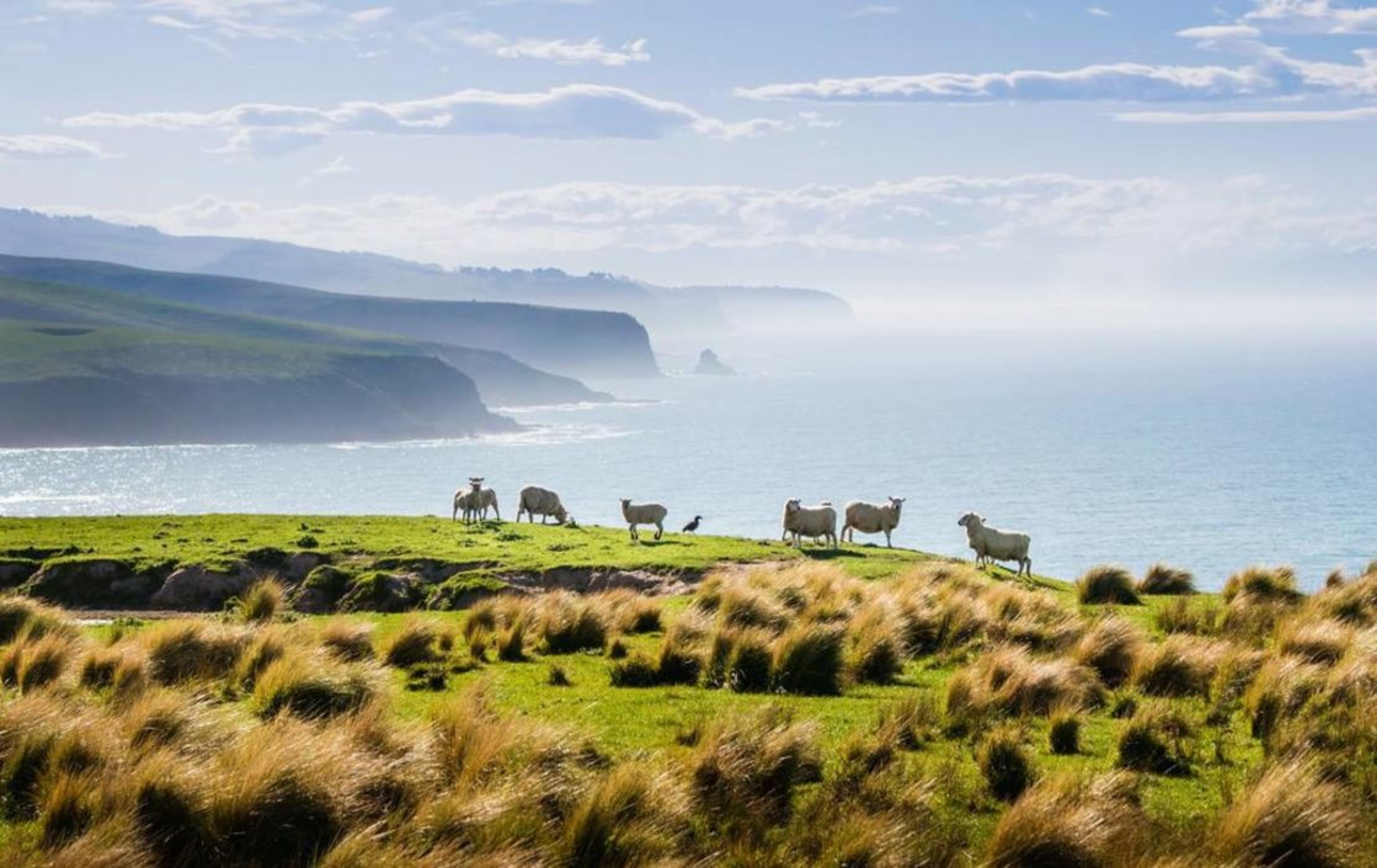 Annandale Coastal Farm Escape & Luxury Villa Collection