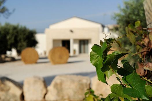 Riofavara Wine Relais