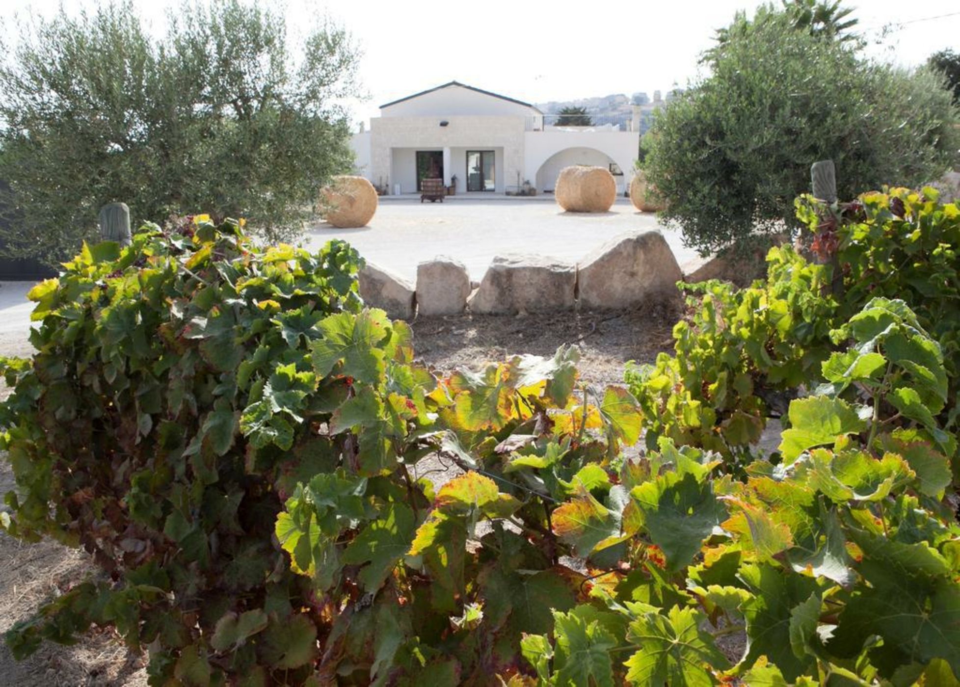 Riofavara Wine Relais