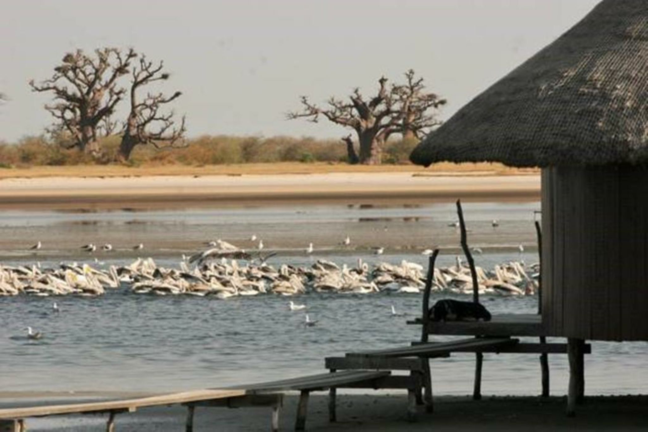Les Collines De Niassam