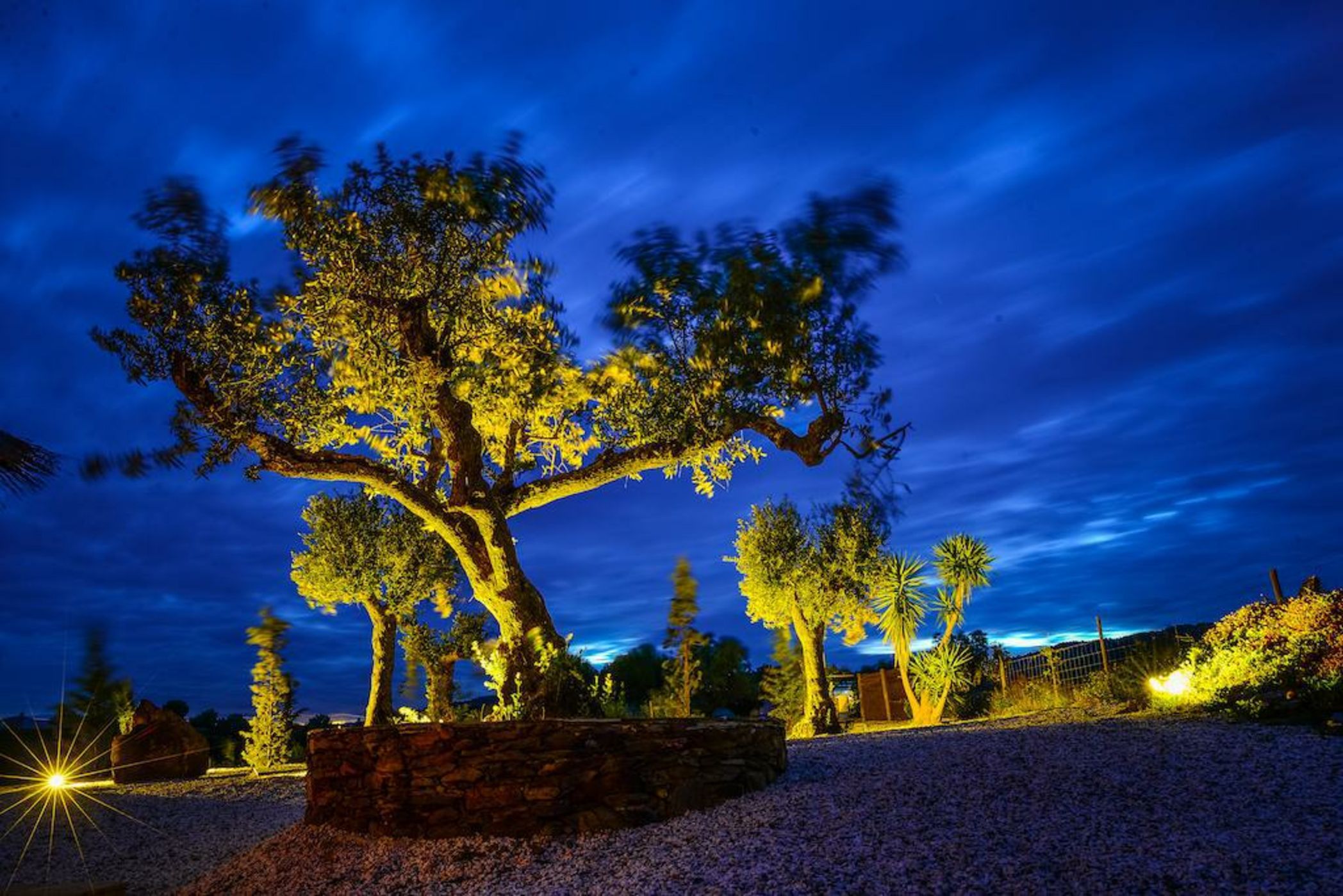 Herdade de Agua D' Alte