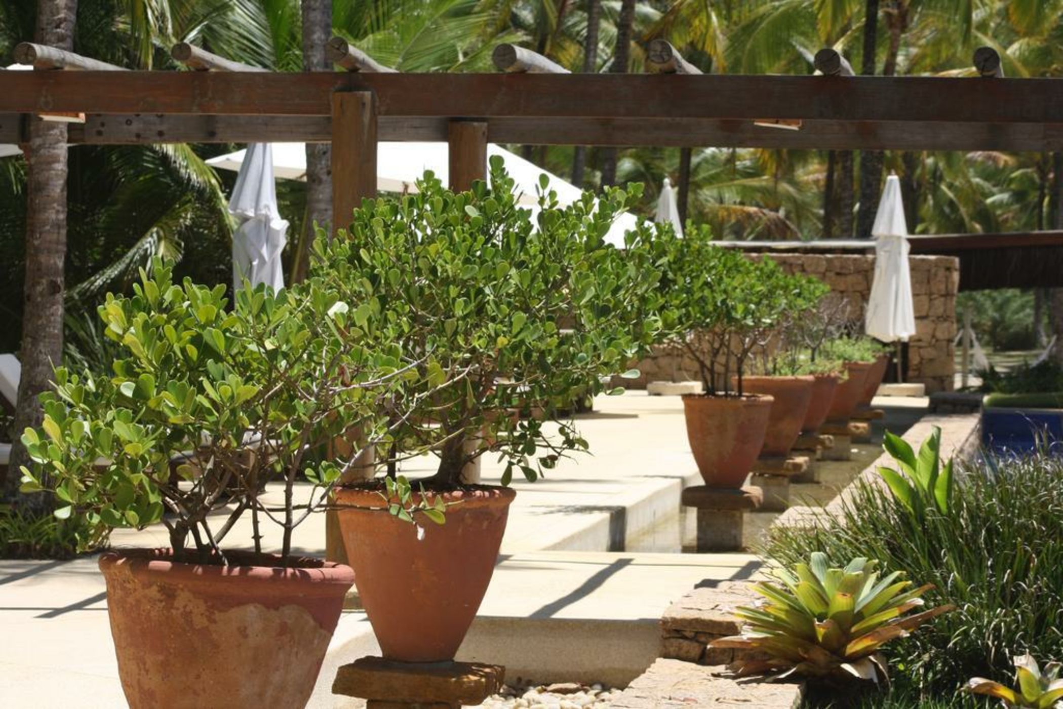 Casa 10 -Txai Resort