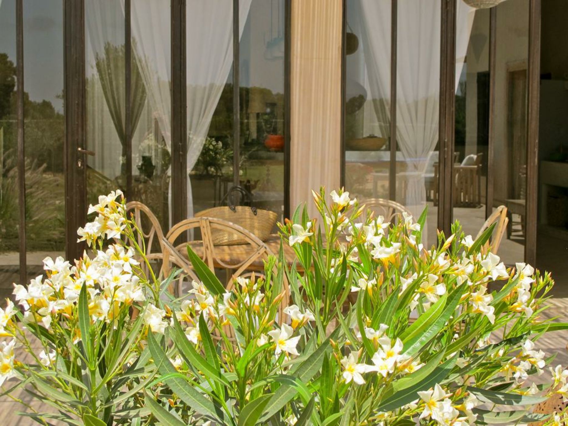 Dar Alya Essaouira Maison et table d'hôtes