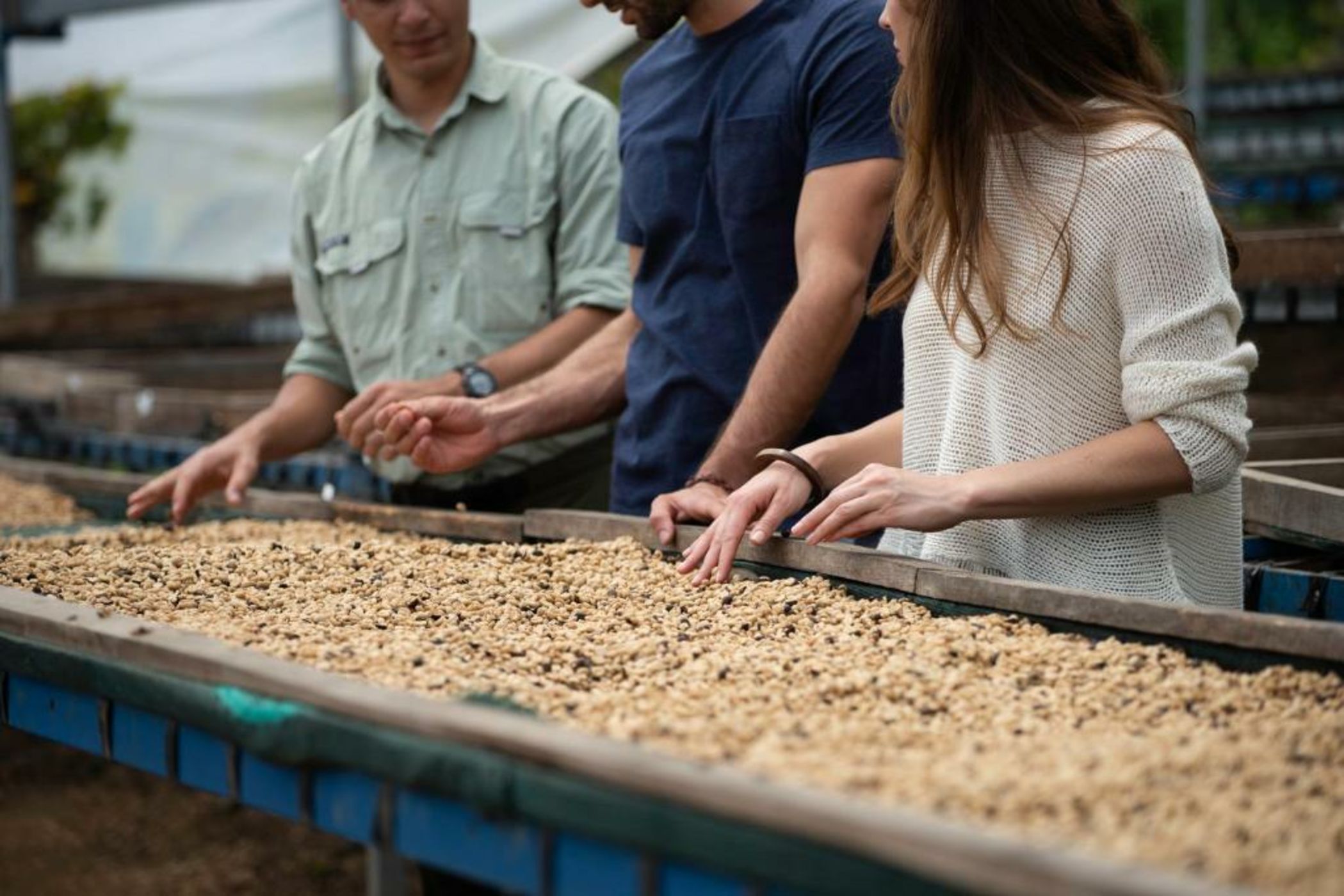 Hacienda AltaGracia Auberge Resort