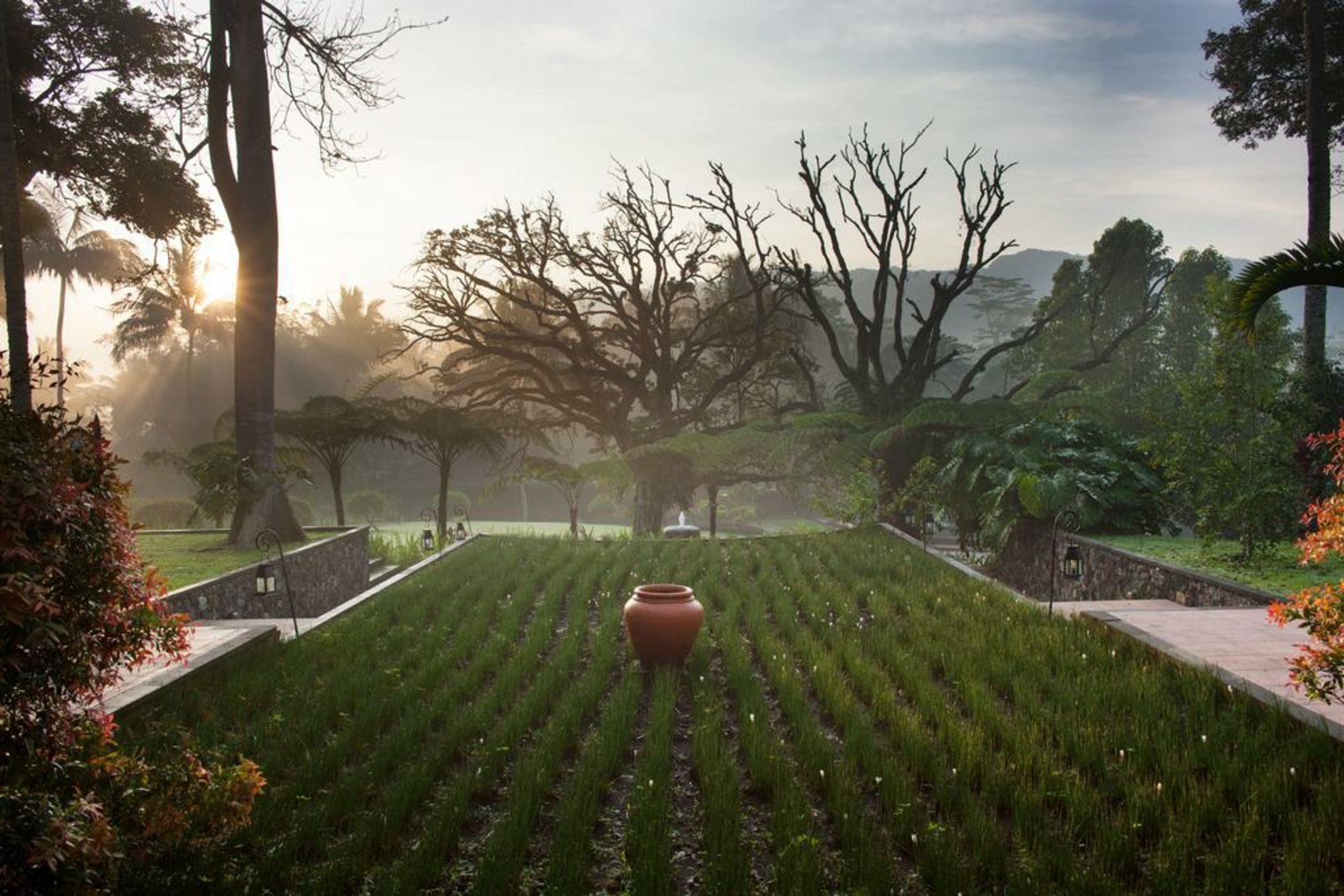 MesaStila Resort and Spa