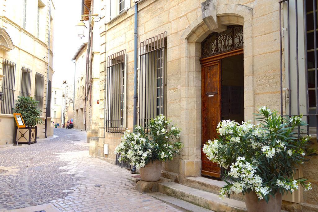 L'Albiousse — photo 3