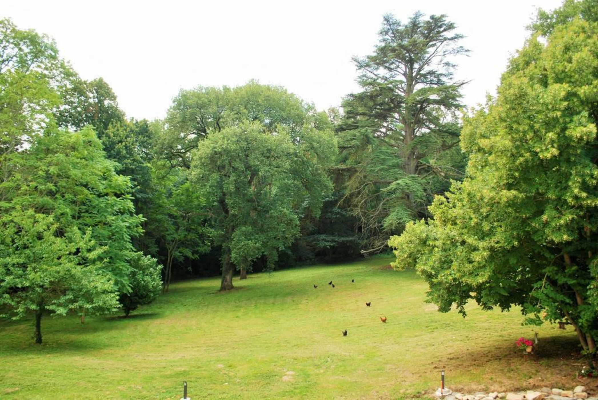 B&B Château Bel Aspect