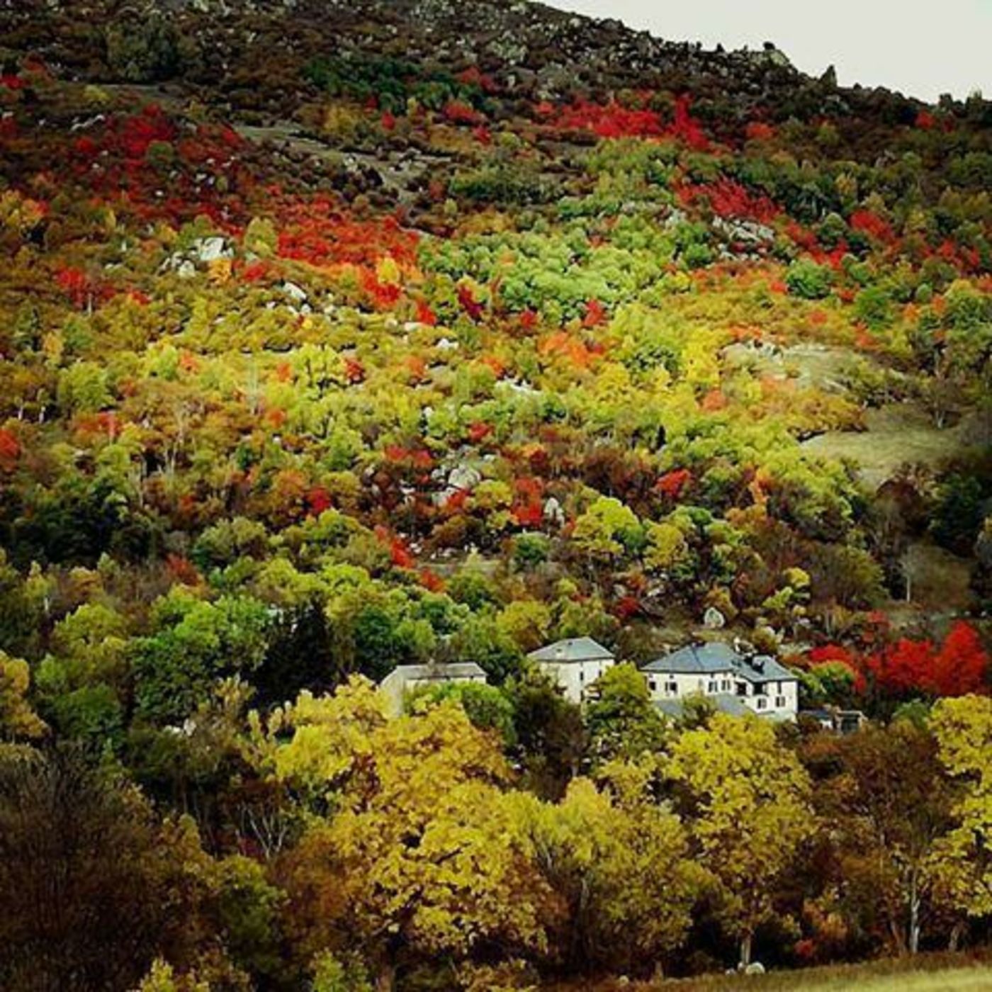 Le Château Brangoly - Adults Only