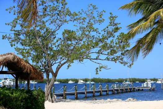 Coconut Palm Inn