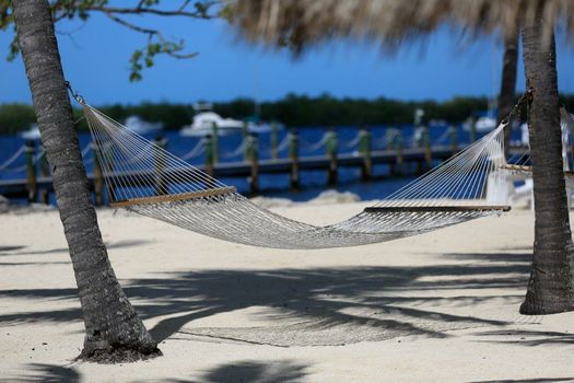 Coconut Palm Inn