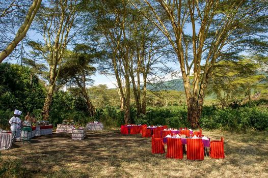Ngorongoro Serena Safari Lodge