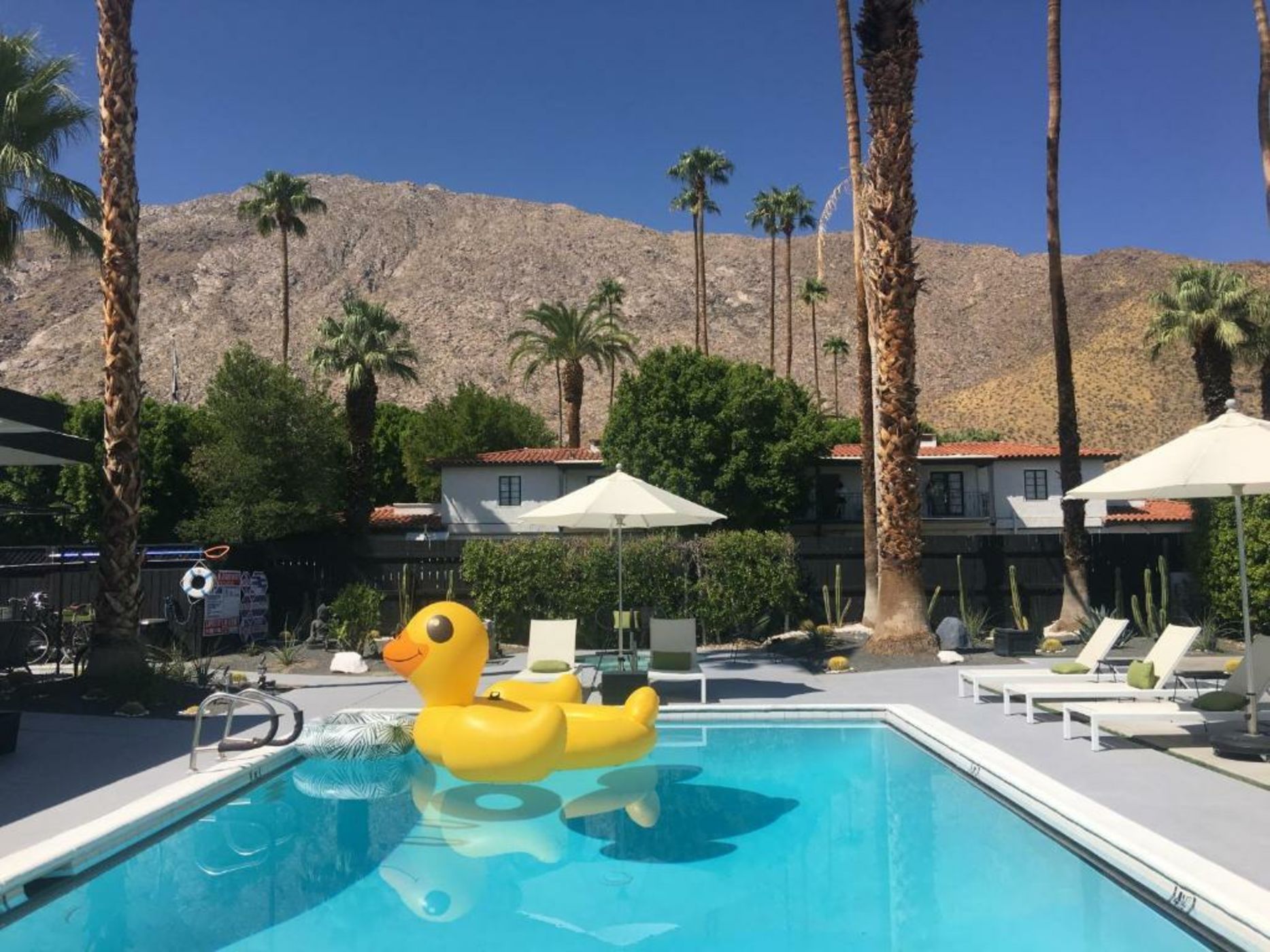 The Three Fifty Hotel- Adults only 21 & up