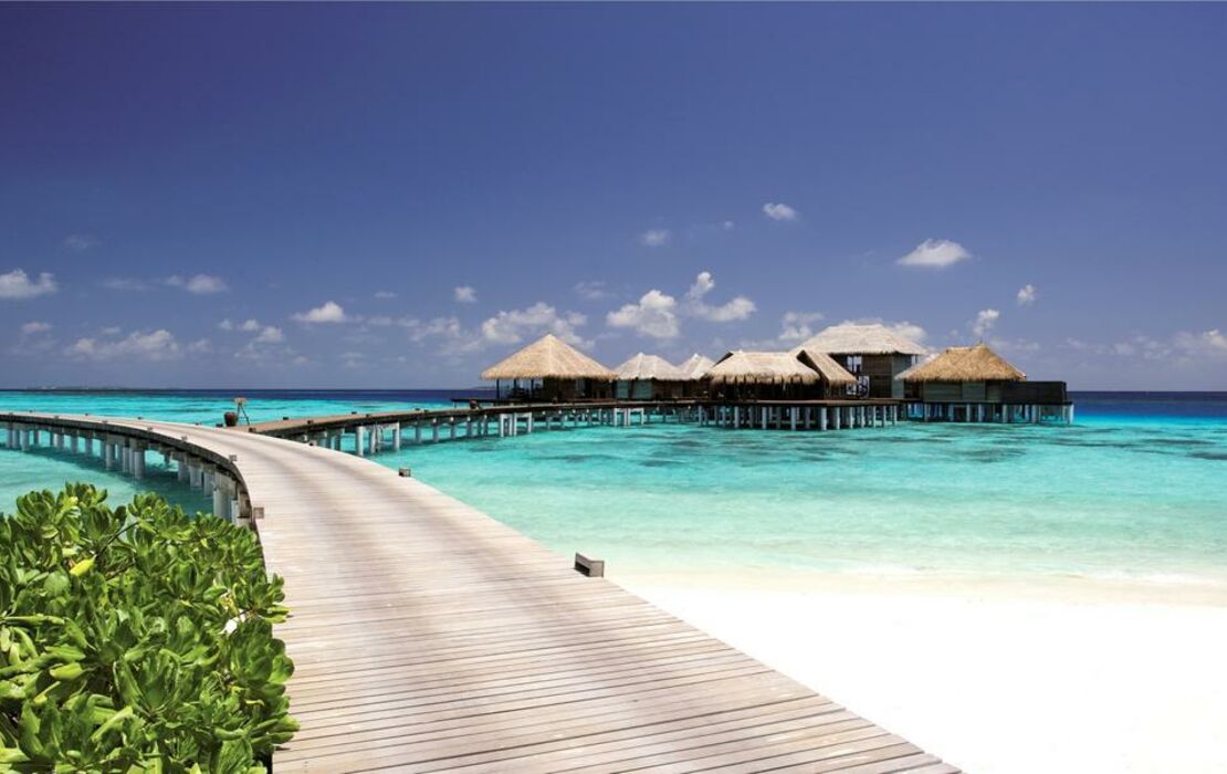 Coco Bodu Hithi