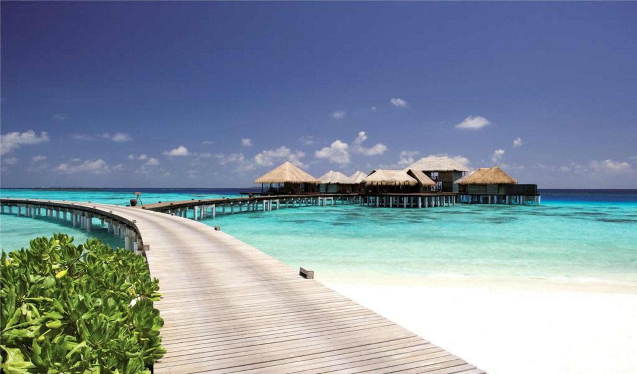 Coco Bodu Hithi
