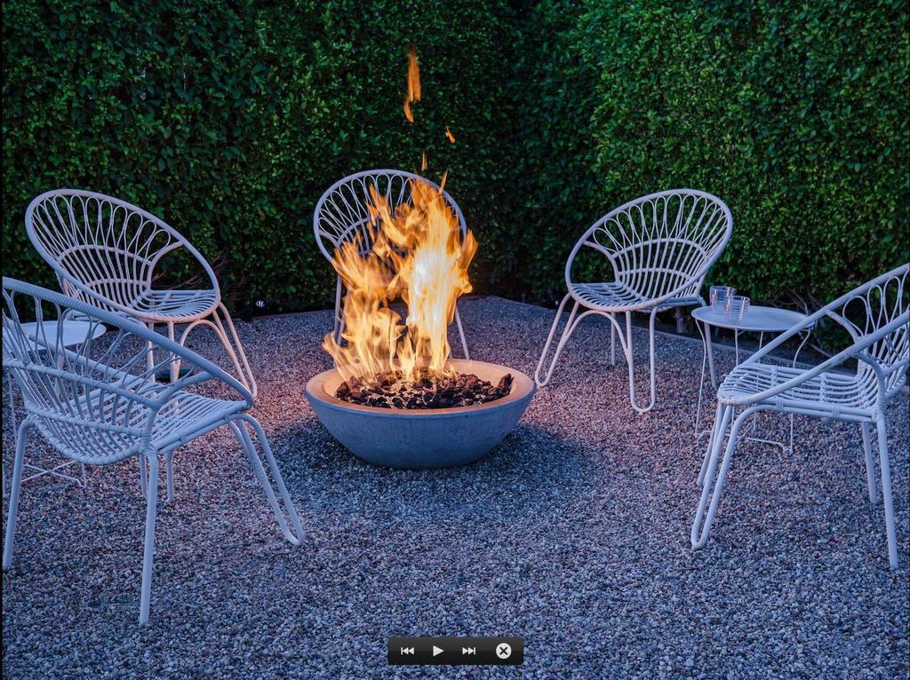 Pineapples and Palms