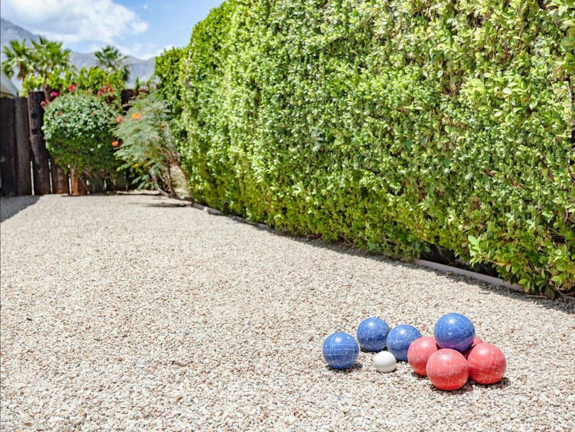 Pineapples and Palms