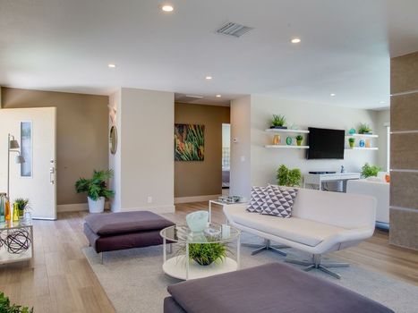 Bon Vivant Palms