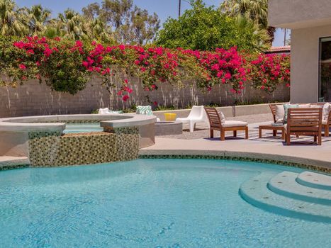Bon Vivant Palms