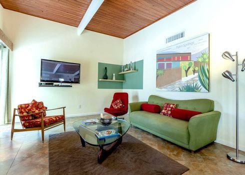 Paradise Palm
