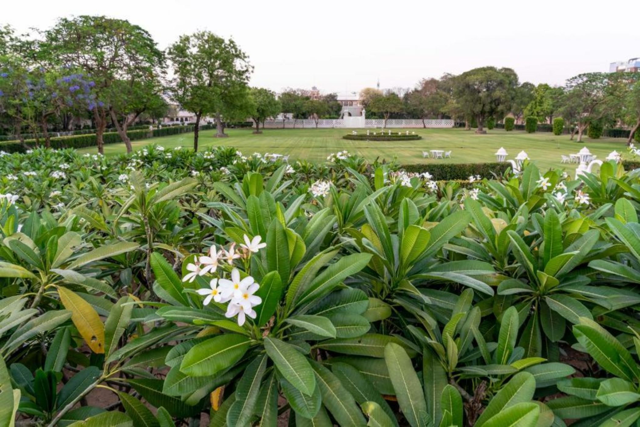 Rajmahal Palace RAAS