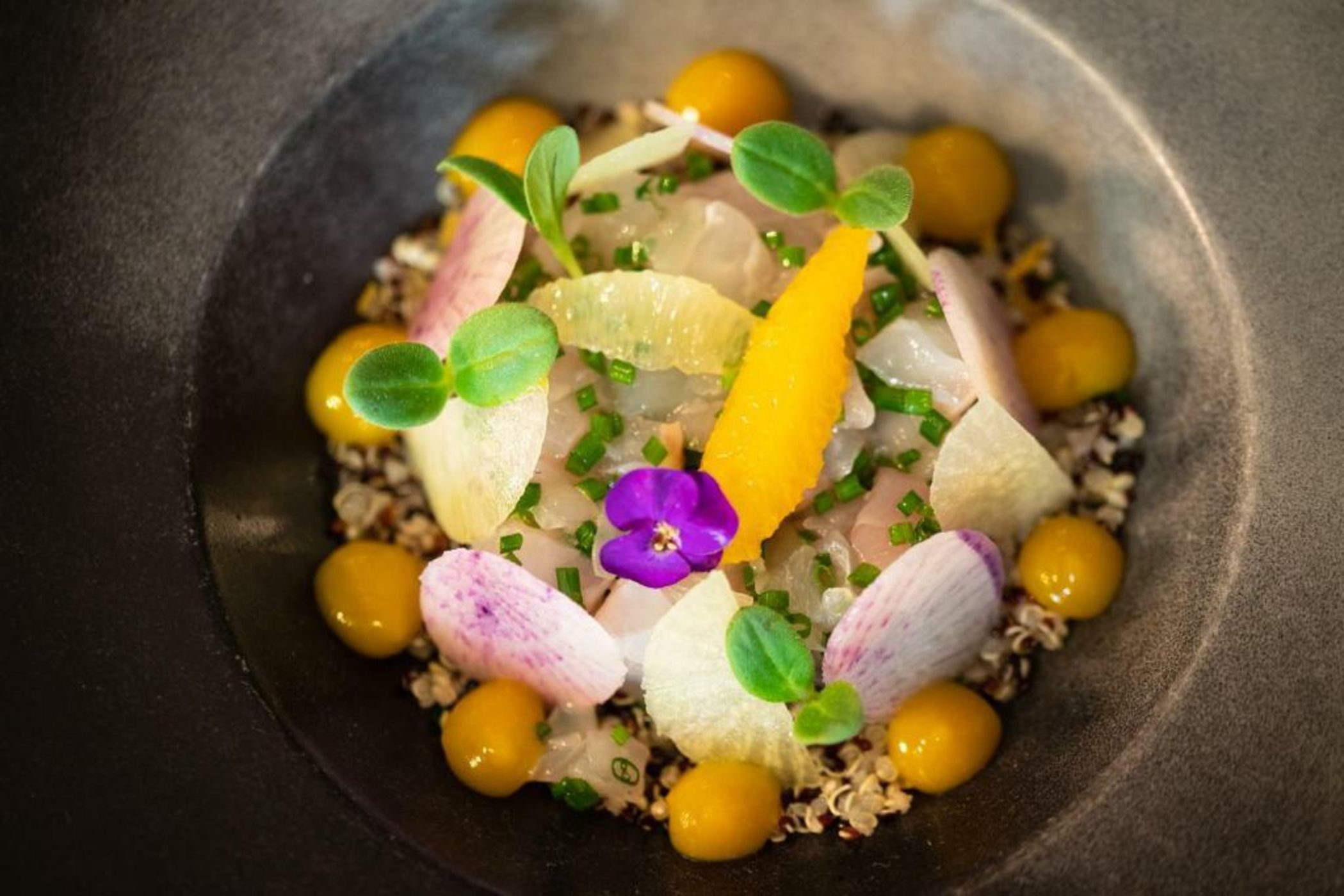 La Citadelle Metz MGallery