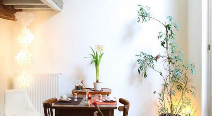 Alphabed Guest House