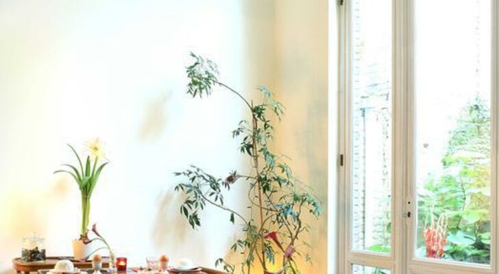 Alphabed Guest House