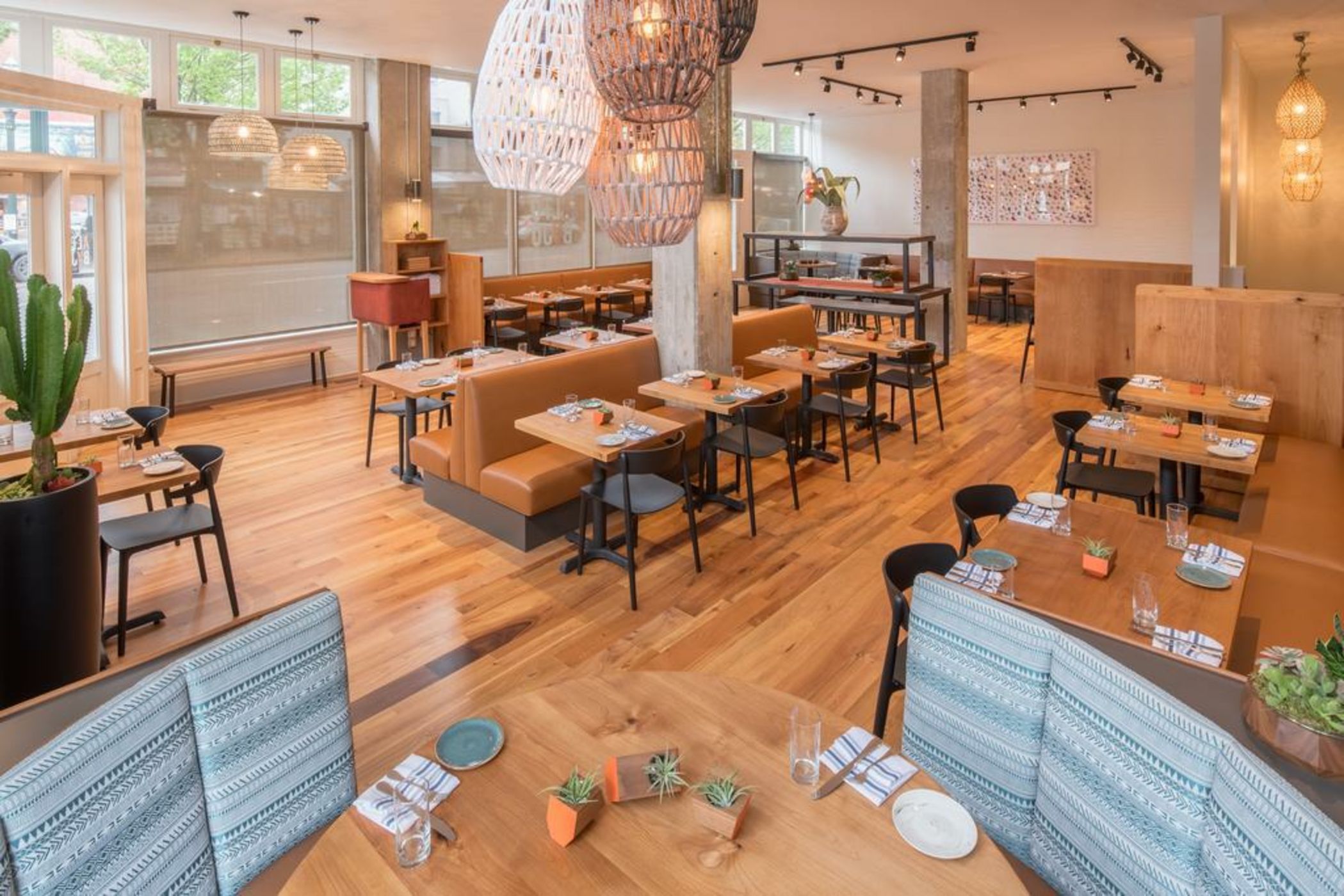 The Hi-Lo, Autograph Collection