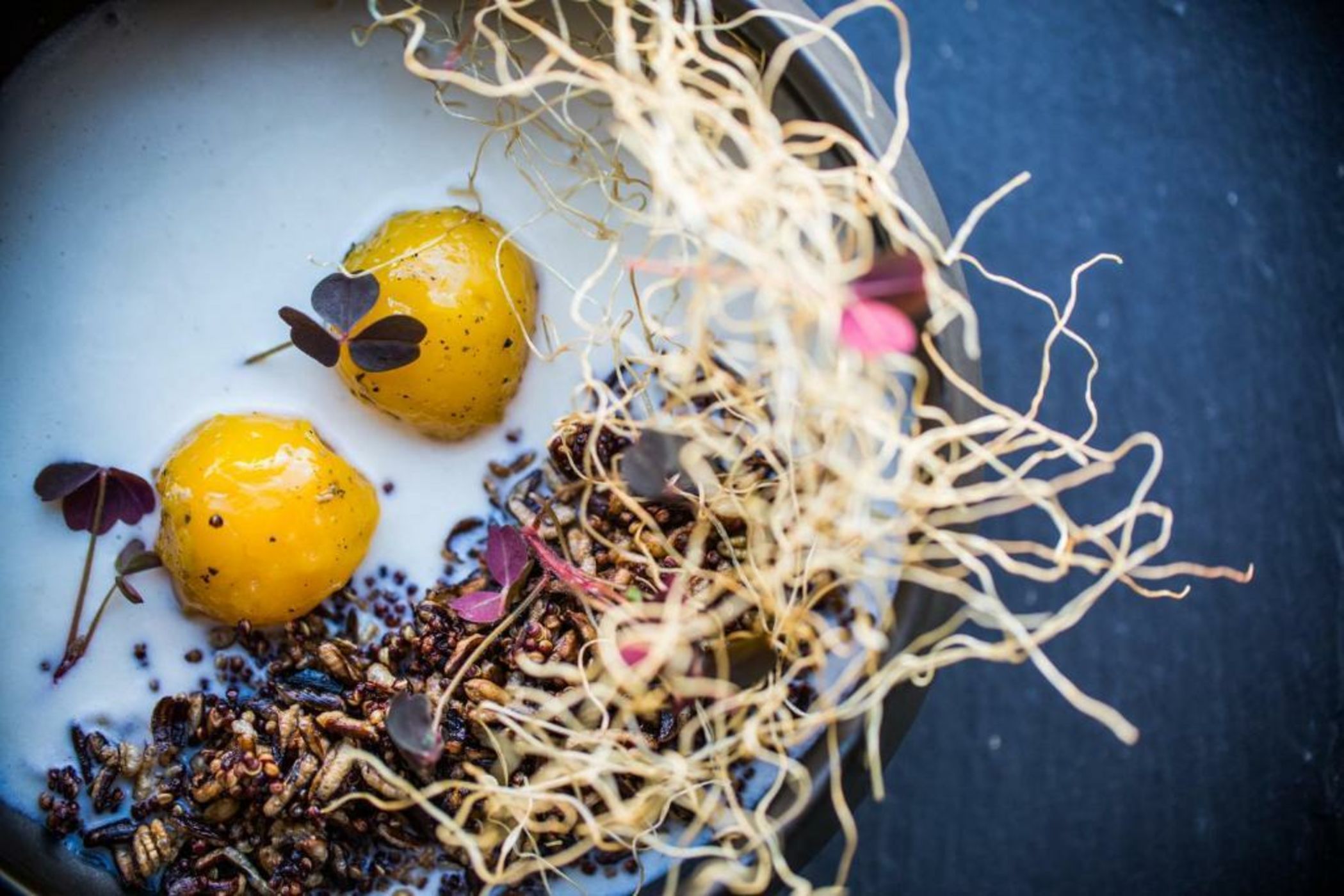 Kimpton Aertson Hotel, an IHG Hotel