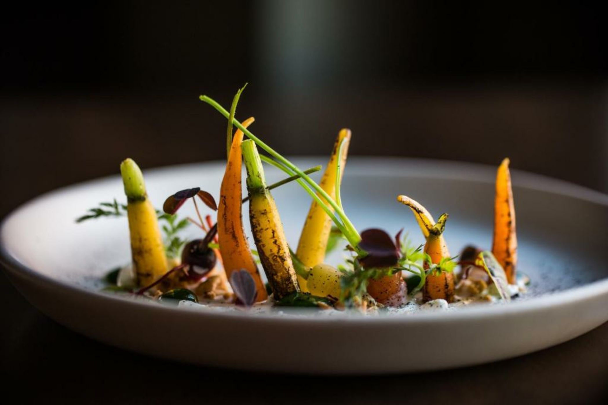 Kimpton Aertson Hotel, an IHG Hotel