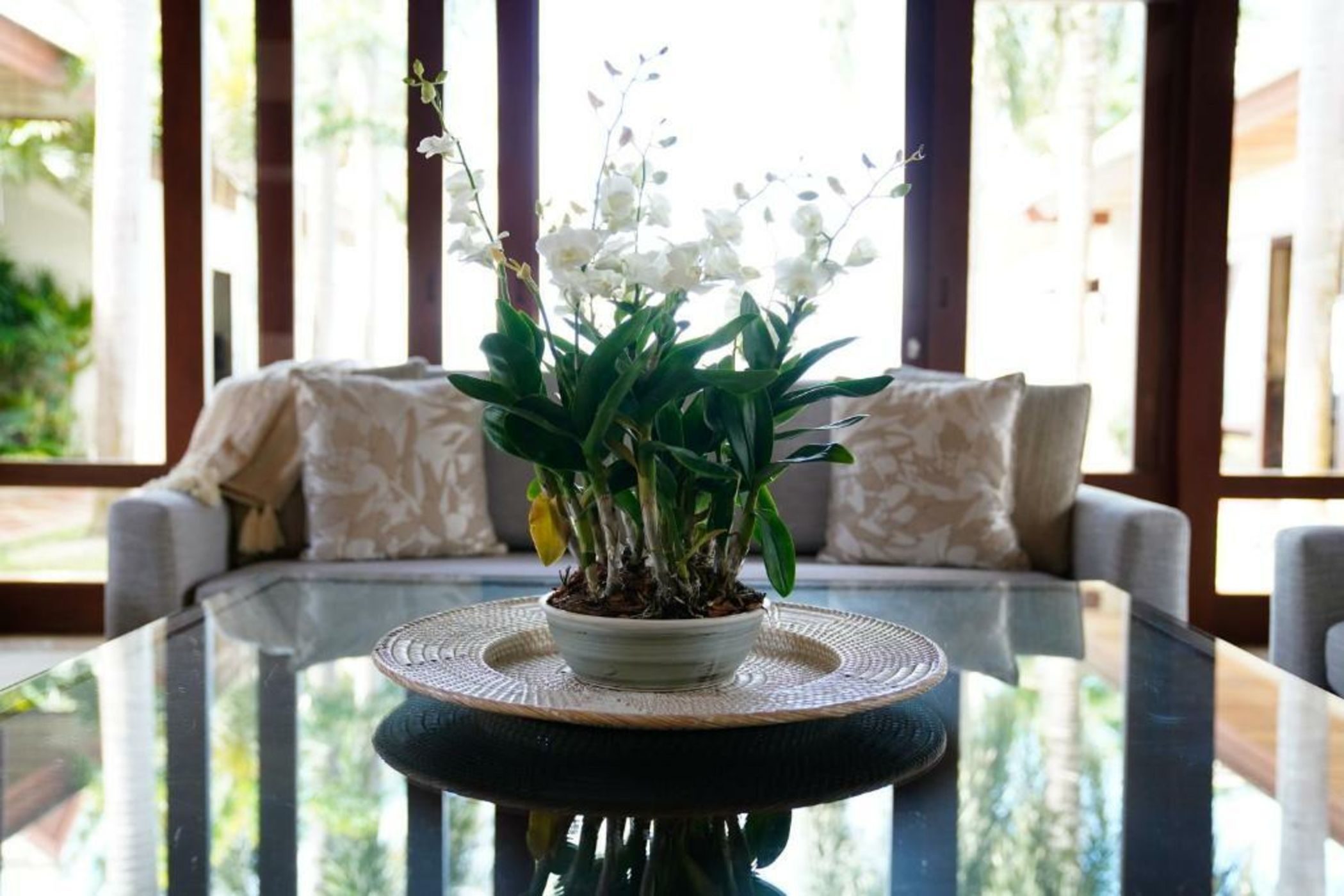 Miskawaan Villa Frangipani