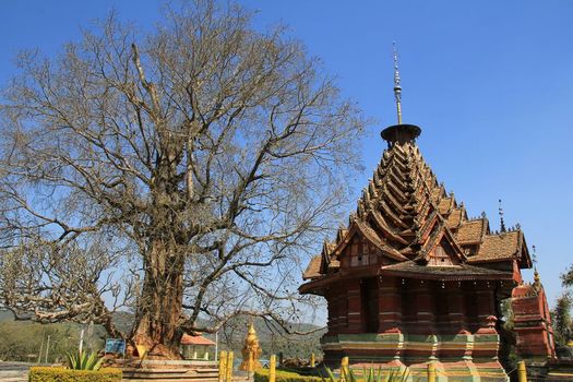 Jingmai Bolian Resorts & SPA