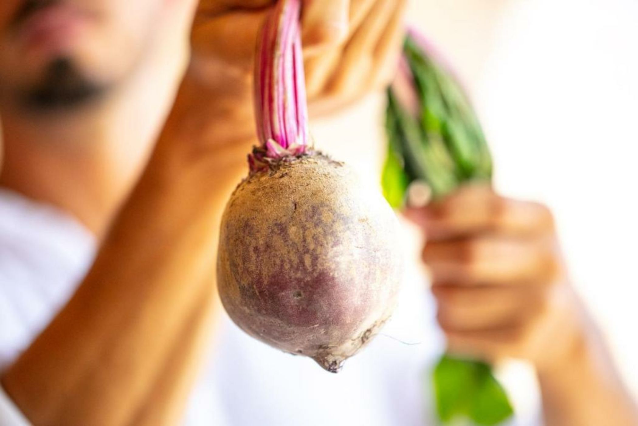 Filodivino Wine Resort & SPA