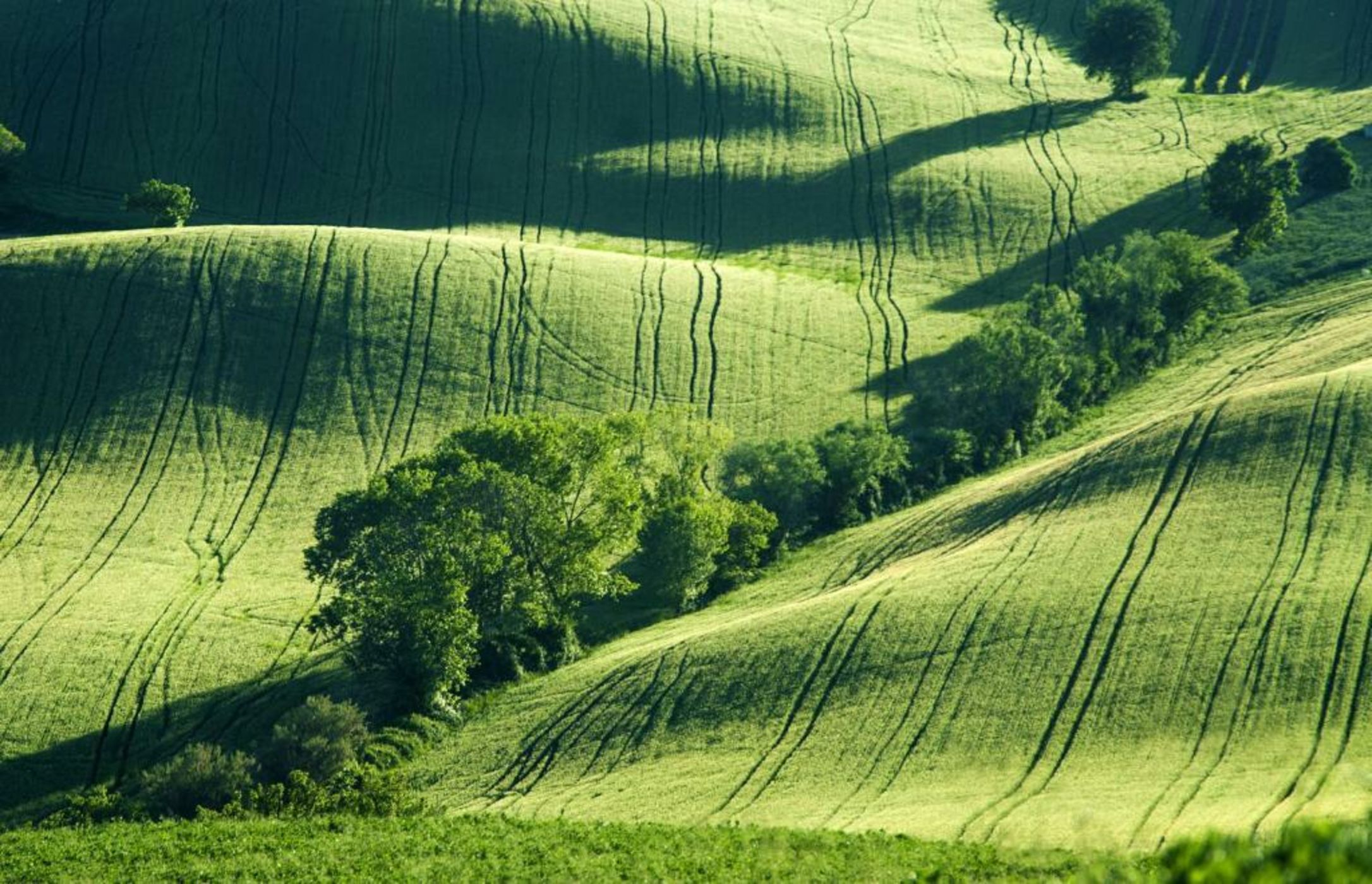 Filodivino Wine Resort & SPA