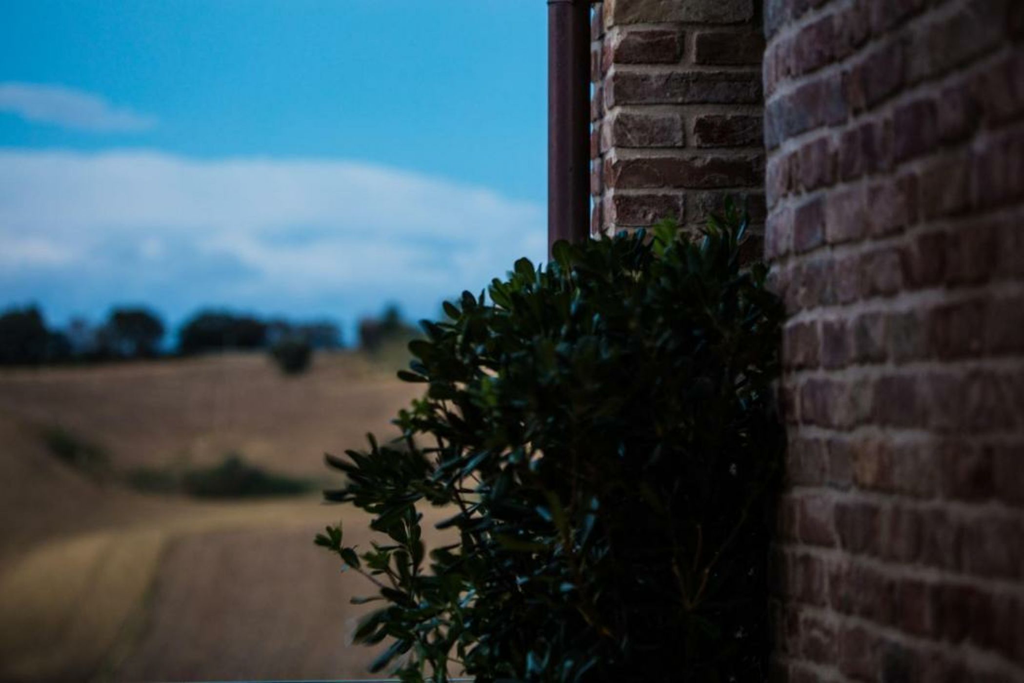 Filodivino Wine Resort & SPA