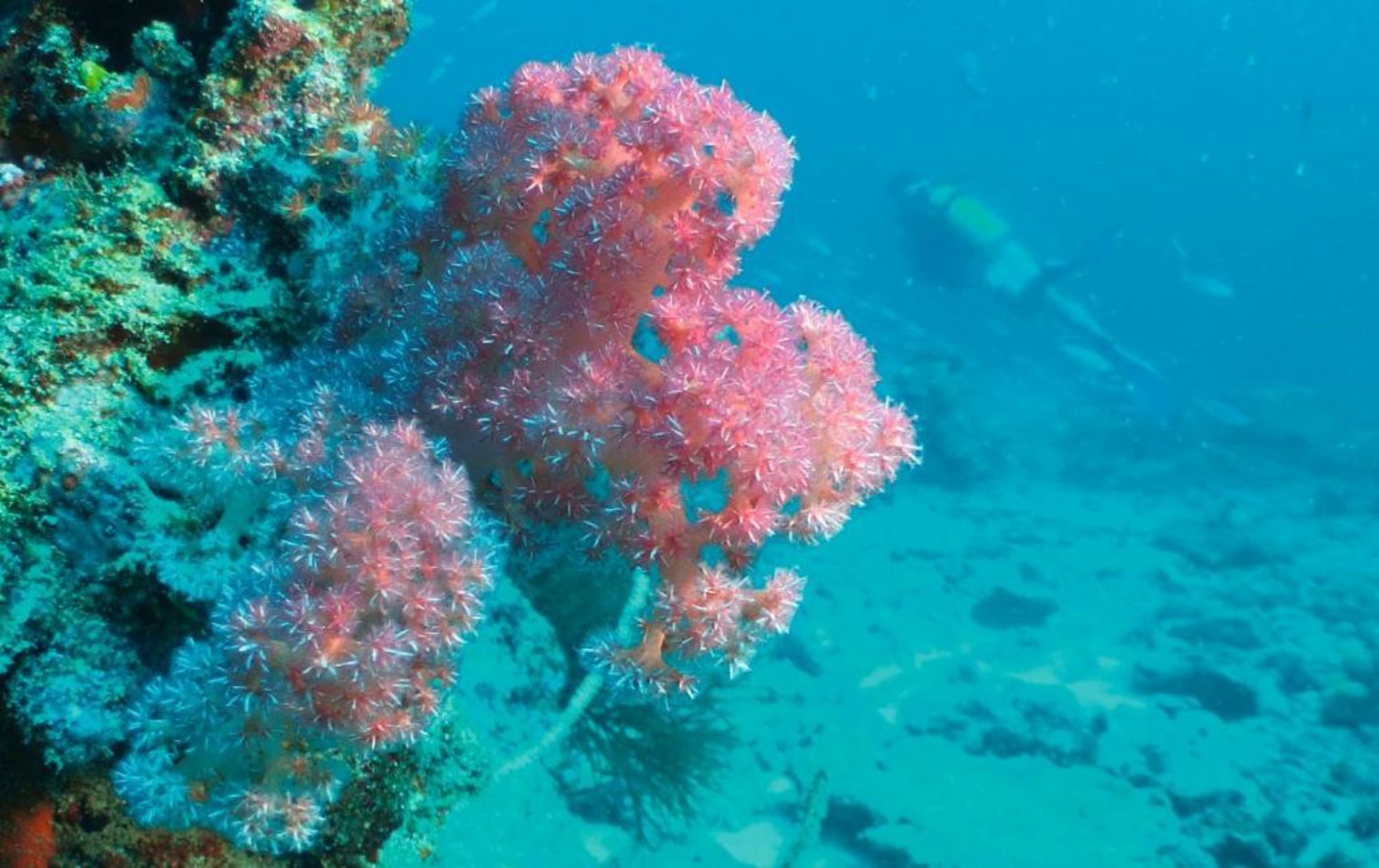 Constance Tsarabanjina - All Inclusive