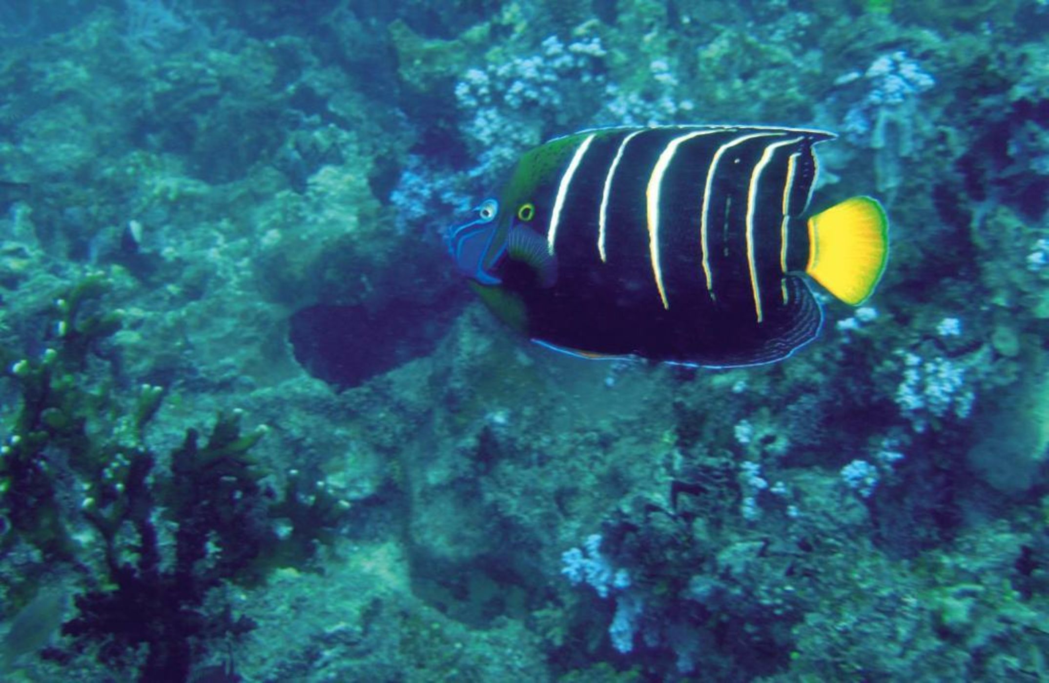 Constance Tsarabanjina - All Inclusive