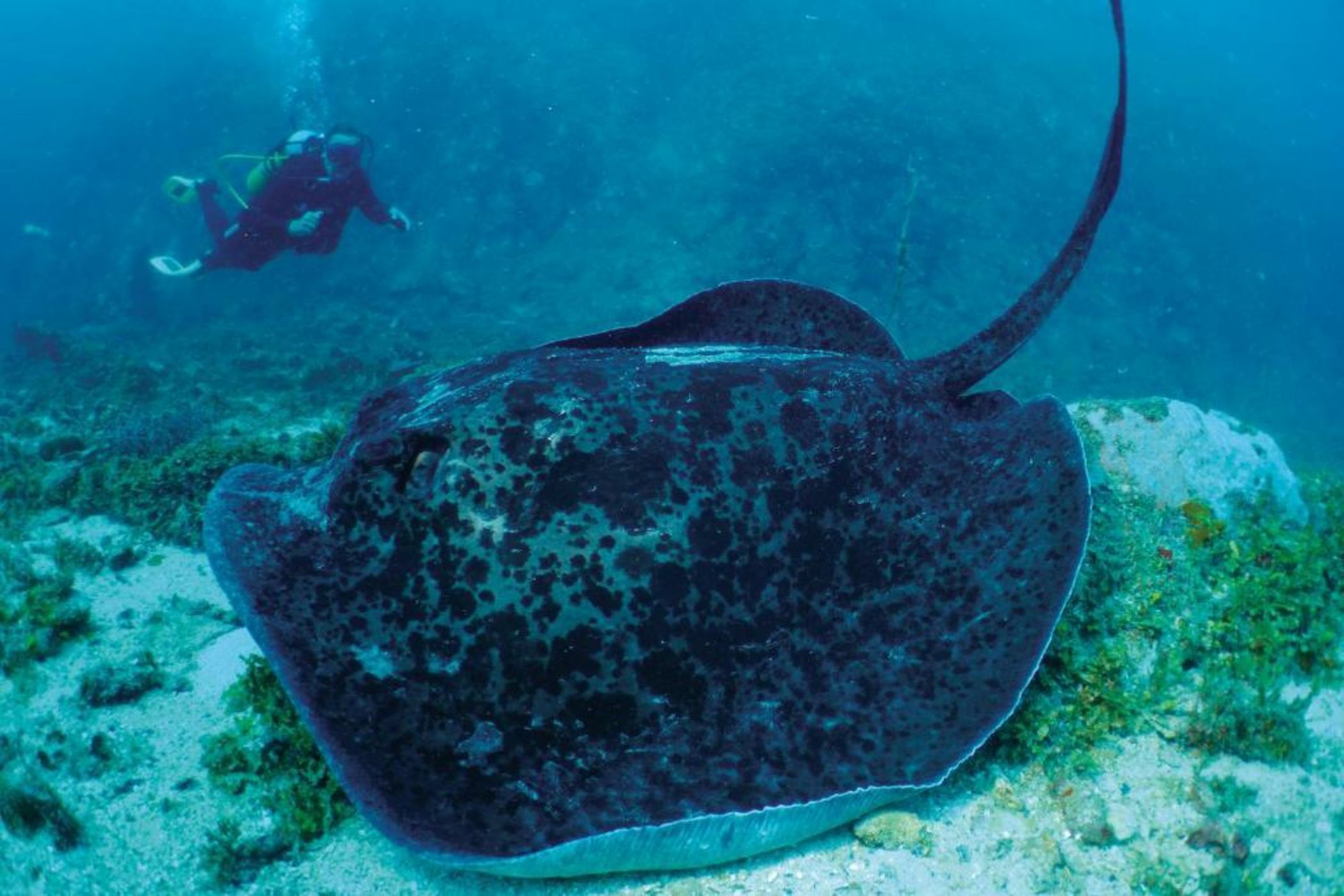 Constance Tsarabanjina - All Inclusive