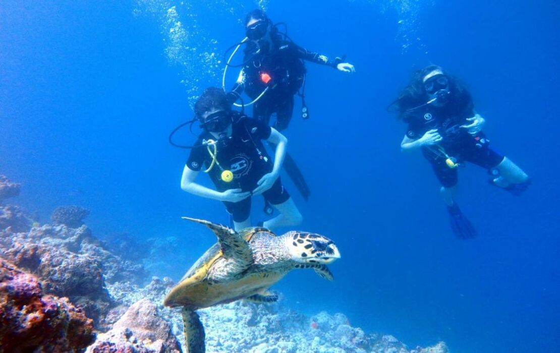 Furaveri Maldives