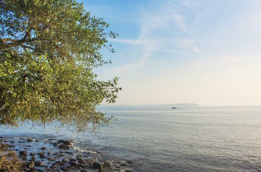 Ahilya By The Sea