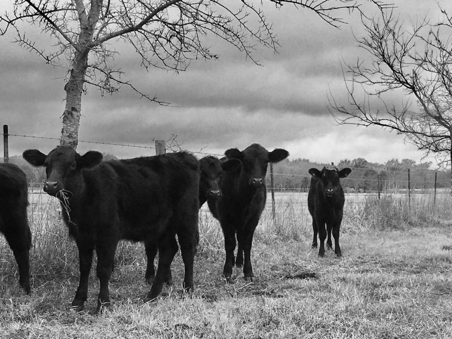 FlopHouze II - Round Top, TX