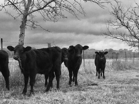 FlopHouze II - Round Top, TX