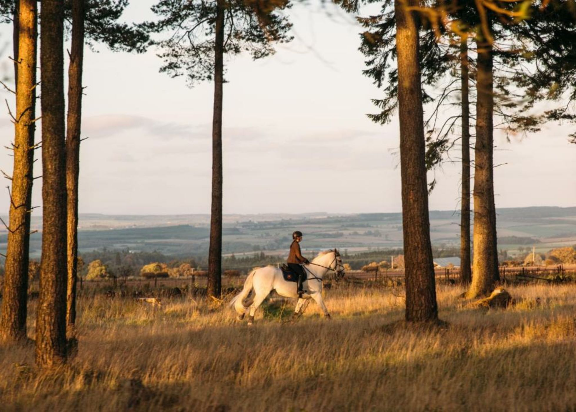 The Gleneagles Hotel