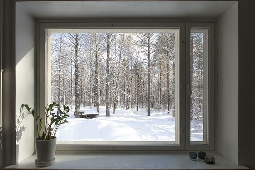 Apukka Resort