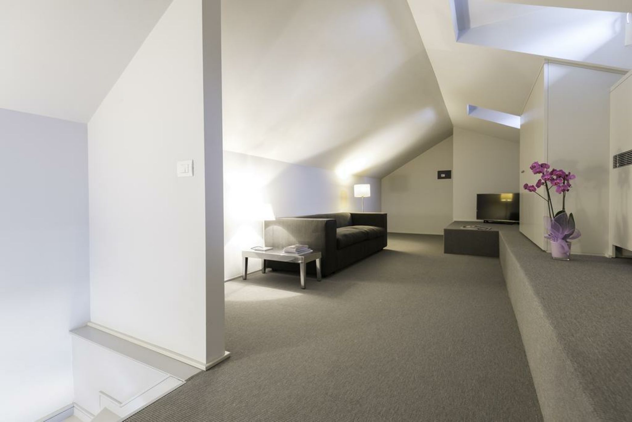 Adelaide - Corso Magenta