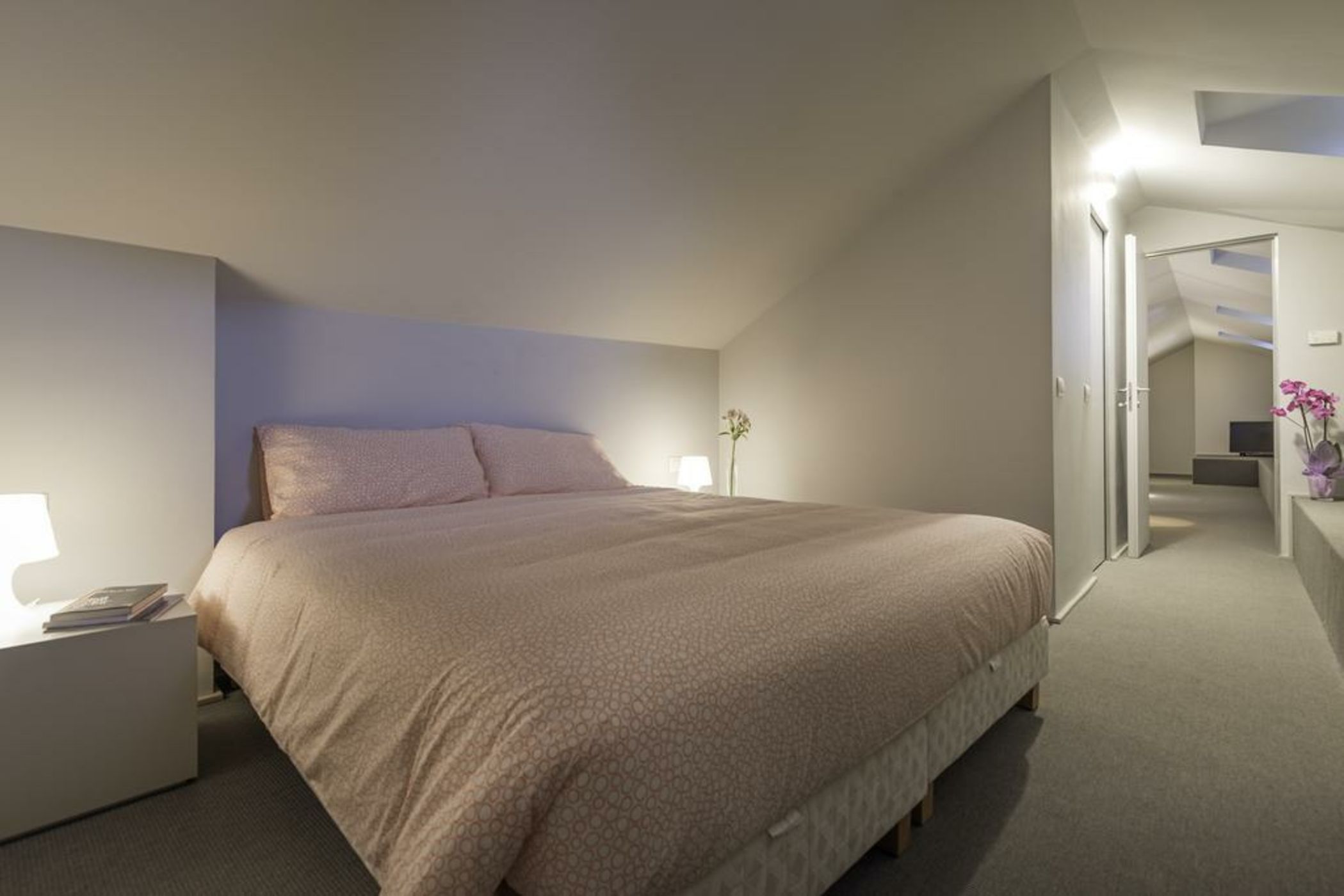 Adelaide - Corso Magenta