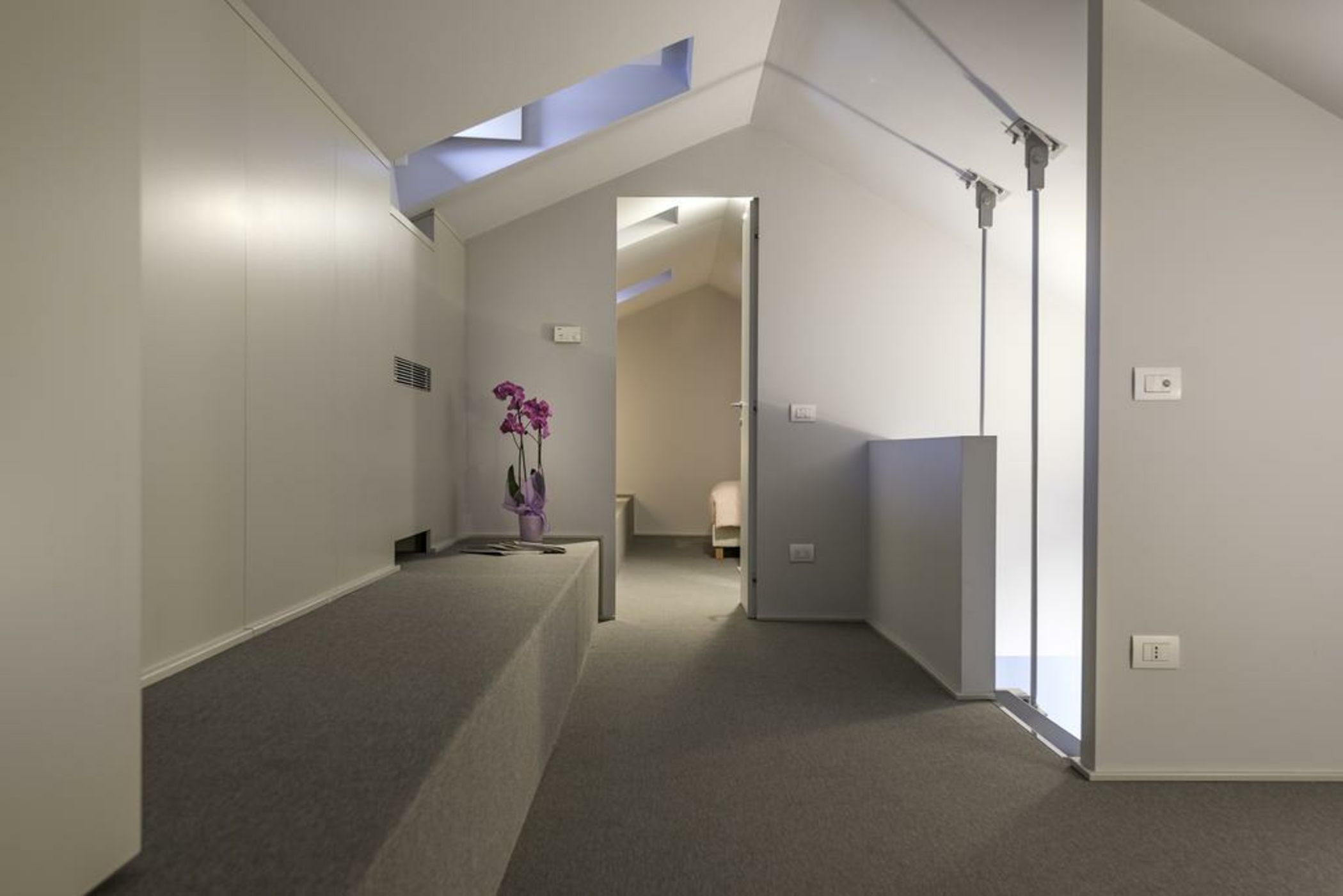 Adelaide - Corso Magenta